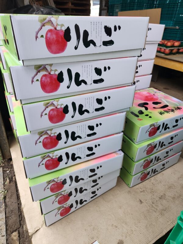 【Amazing Apple】サンふじ贈答品5kg‐11月下旬～順次発送‐ - 画像 (6)
